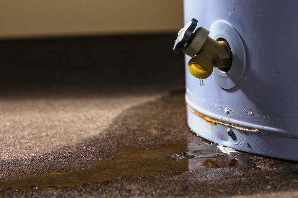 Best Water damage restoration company  in Payson, AZ