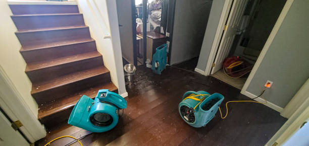 Best Professional water damage repair  in Payson, AZ