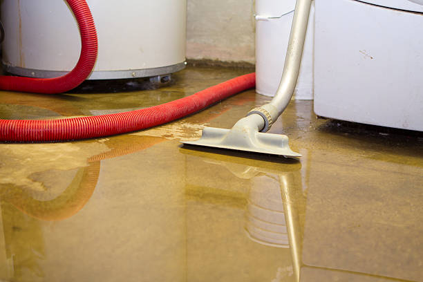 Best Water damage restoration experts  in Payson, AZ