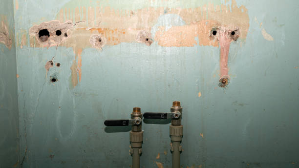 Best Water damage cleanup near me  in Payson, AZ