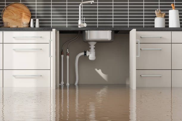 Best 24-hour water damage restoration  in Payson, AZ