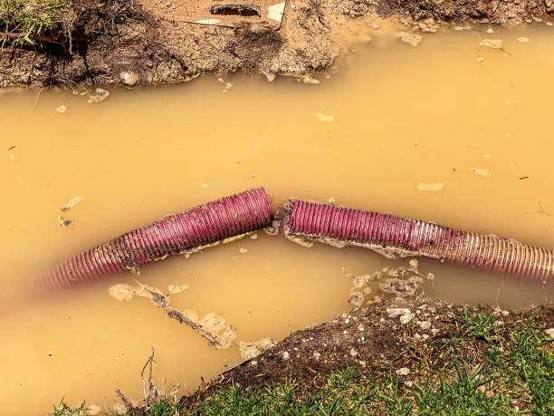 Best Emergency water extraction  in Payson, AZ