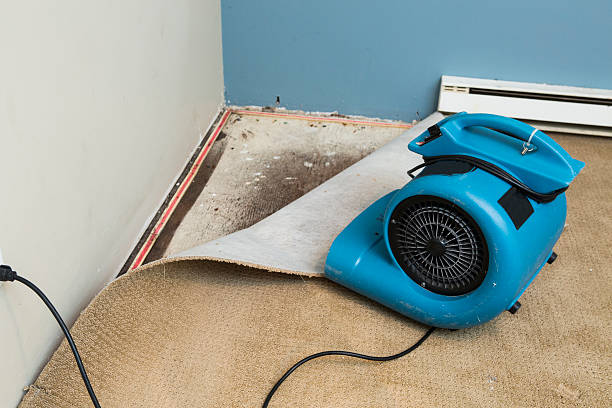 Best Water damage restoration cost  in Payson, AZ